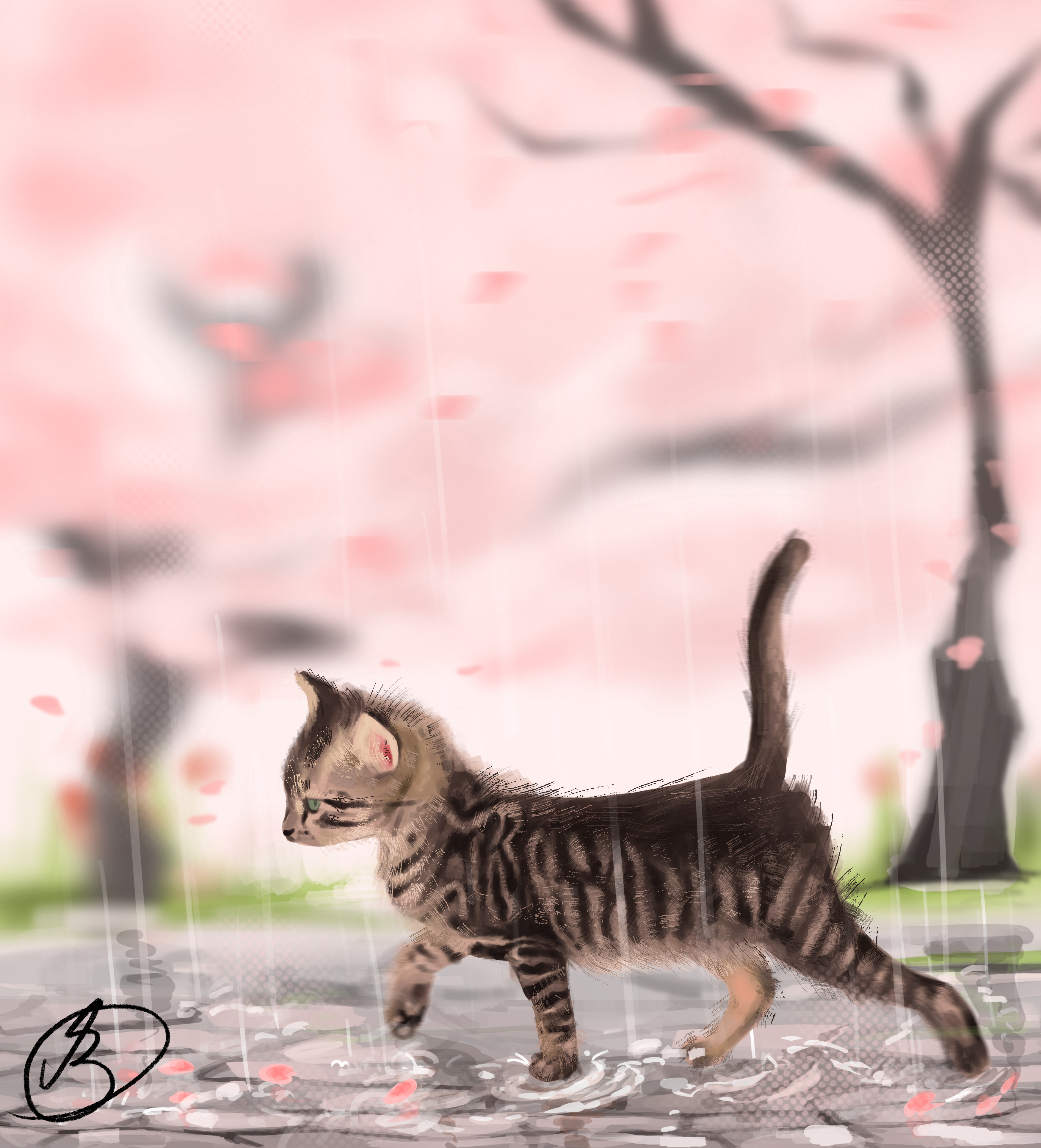 Cat Rain