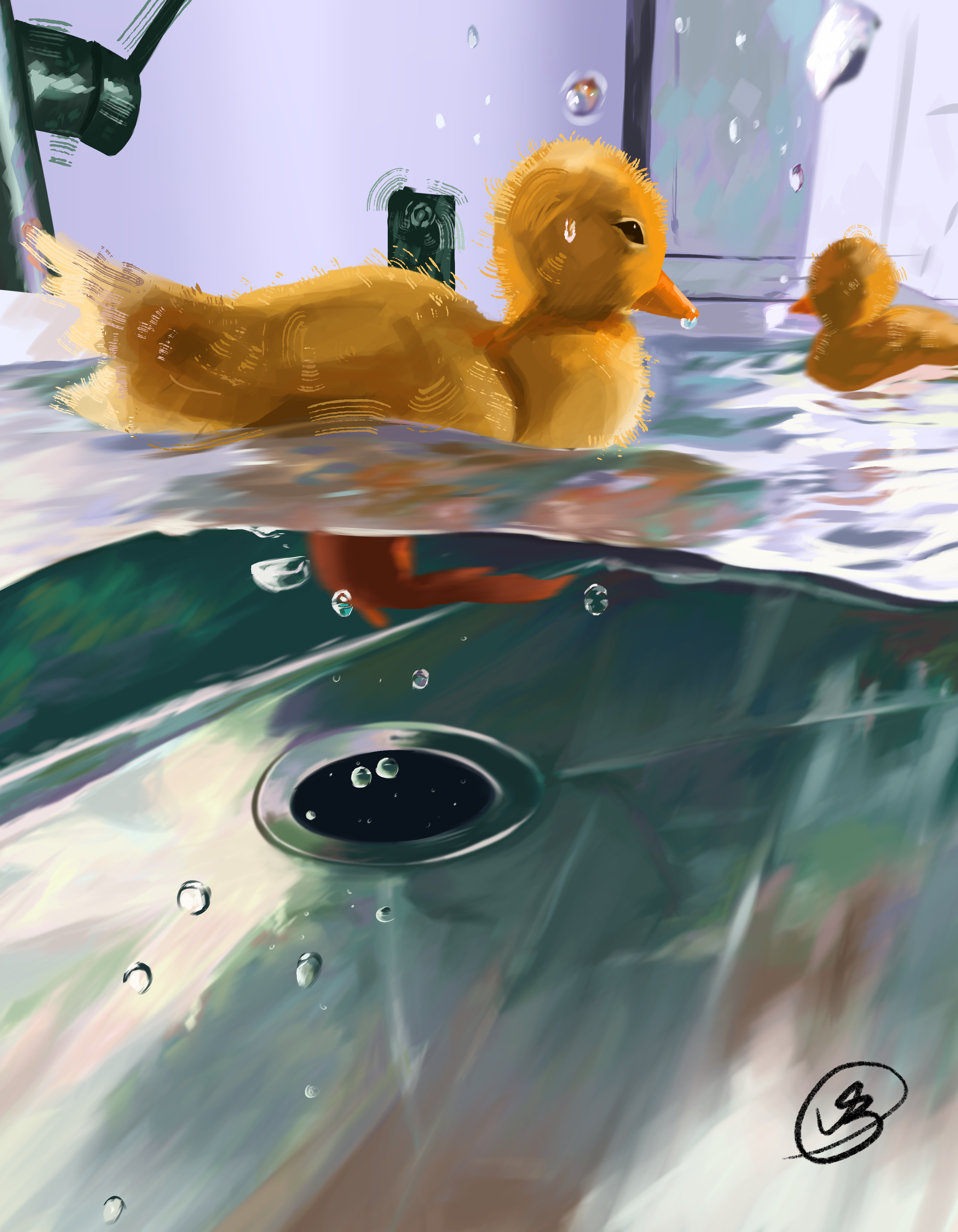 Ducks Water