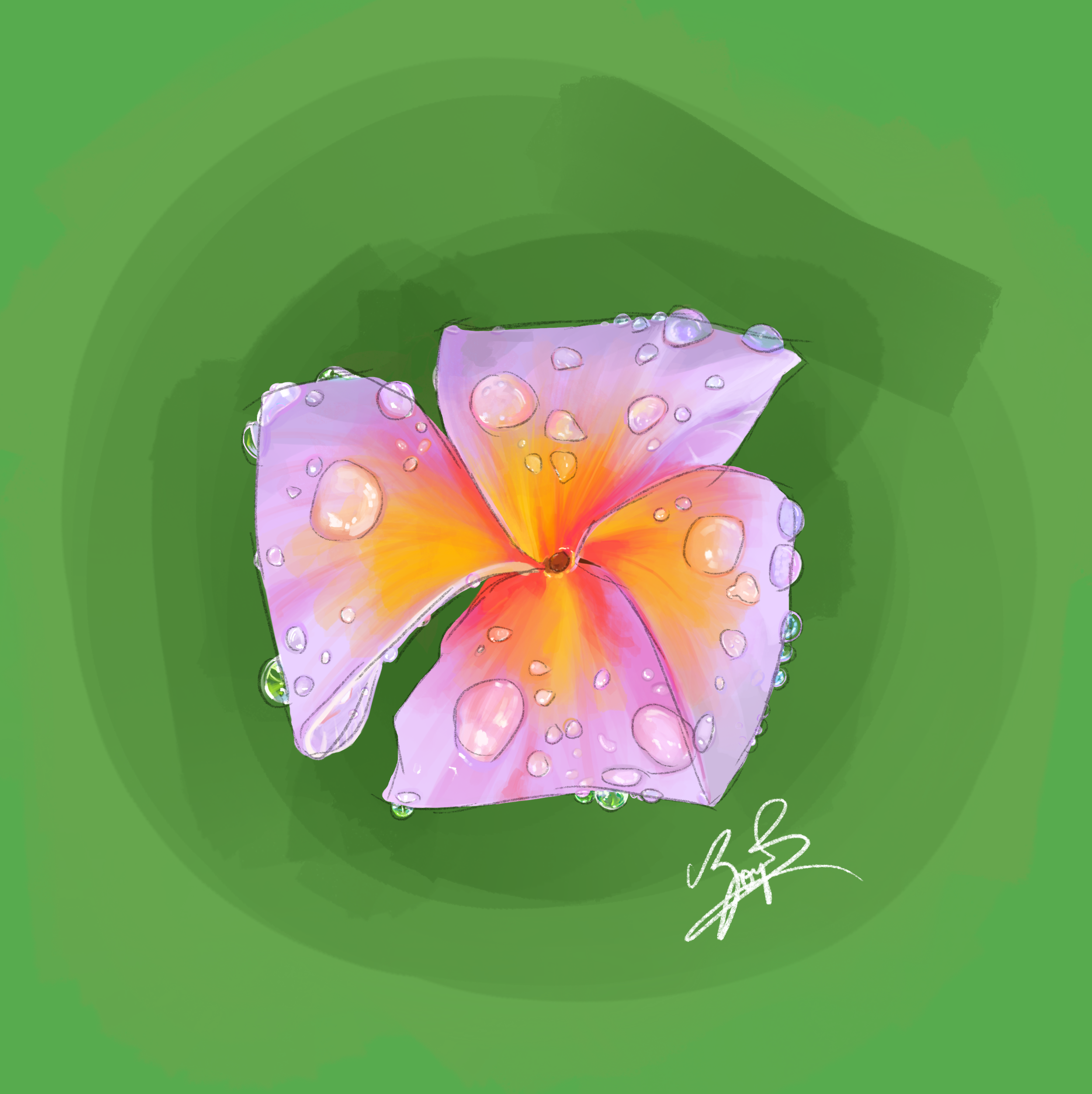 Flower Study