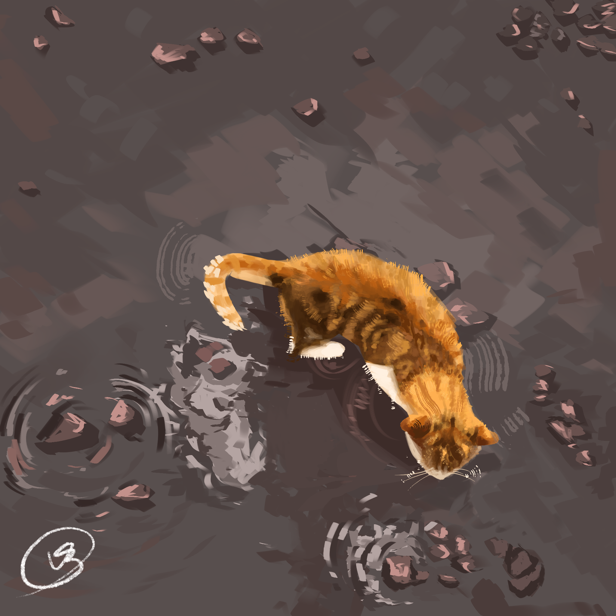 Hawaii Cat
