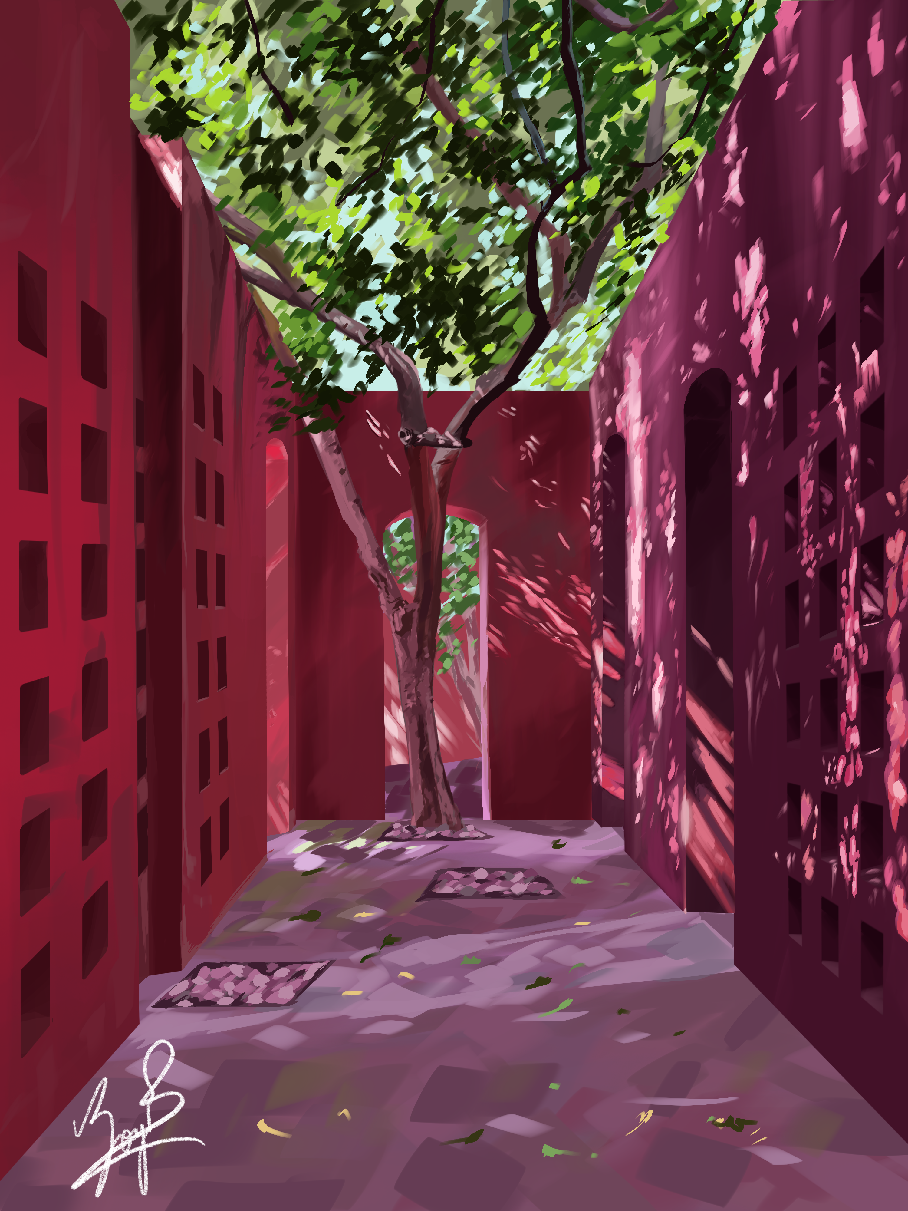 Lighting Study Pink